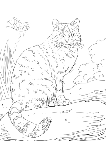 European Wild Cat Coloring Page